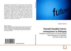 Couverture de Female-headed micro-enterprises in Ethiopia