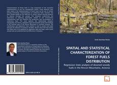 Copertina di SPATIAL AND STATISTICAL CHARACTERIZATION OF FOREST FUELS DISTRIBUTION