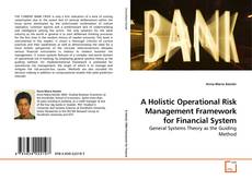 Buchcover von A Holistic Operational Risk Management Framework for Financial System