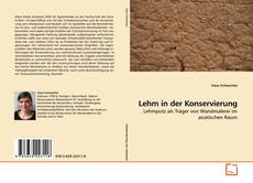 Couverture de Lehm in der Konservierung