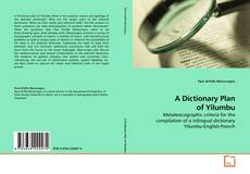 Buchcover von A Dictionary Plan of Yilumbu