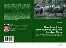 Buchcover von Three Twice-A-Year Breeding Schedules in four Breeds of Sheep