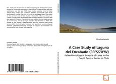 Capa do livro de A Case Study of Laguna del Encañado (33°S/70°W) 