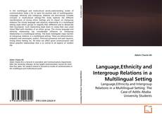 Capa do livro de Language,Ethnicity and Intergroup Relations in a Multilingual Setting 