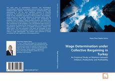 Capa do livro de Wage Determination under Collective Bargaining in Turkey 