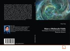 Capa do livro de How a Molecule Folds 