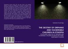 THE DESTINY OF ORPHANS AND VULNERABLE CHILDREN IN ETHIOPIA的封面
