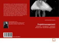 Capa do livro de Projektmanagement 