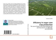 Capa do livro de Efficiency in sugar cane crop production 