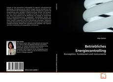 Capa do livro de Betriebliches Energiecontrolling 