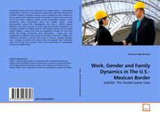 Work, Gender and Family Dynamics in The U.S.-Mexican Border的封面
