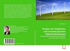 Capa do livro de Analyse des belgischen und luxemburgischen Elektrizitätsmarktes 