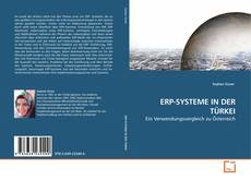 Capa do livro de ERP-SYSTEME IN DER TÜRKEI 