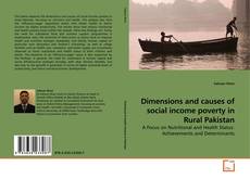 Capa do livro de Dimensions and causes of social income poverty in Rural Pakistan 