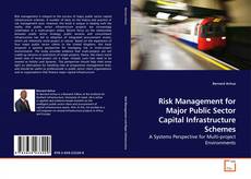 Copertina di Risk Management for Major Public Sector Capital Infrastructure Schemes