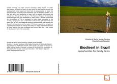 Buchcover von Biodiesel in Brazil