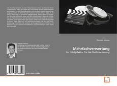 Mehrfachverwertung的封面