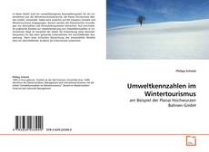 Couverture de Umweltkennzahlen im Wintertourismus