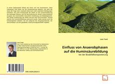 Couverture de Einfluss von Anaerobphasen auf die Huminsäurebildung