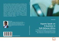 Couverture de Experts Speak on E-business in Sub-Saharan Africa