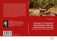 Buchcover von ECOLOGY OF CRITICALLY ENDANGERED ORIENTAL WHITE-BACKED VULTURE