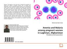 Couverture de Anemia and Malaria among pregnant women in Laghman, Afghanistan
