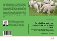 Capa do livro de Canola Meal as A new Protein Source for Sheep in Egypt 