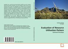 Buchcover von Evaluation of Resource Utilisation Pattern