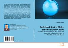 Bullwhip Effect in Multi-Echelon supply Chains的封面
