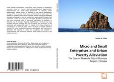 Couverture de Micro and Small Enterprises and Urban Poverty Alleviation
