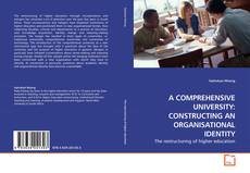 Copertina di A COMPREHENSIVE UNIVERSITY: CONSTRUCTING AN ORGANISATIONAL IDENTITY
