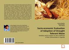 Couverture de Socio-economic Evaluation of Adoption of Drought Tolerant Maize