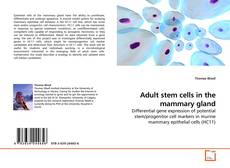 Copertina di Adult stem cells in the mammary gland