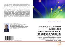 Capa do livro de MULTIPLE MECHANISM MODEL FOR PHOTOLUMINESCENCE  OF OXIDIZED POROUS Si 