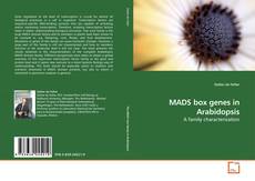 Buchcover von MADS box genes in Arabidopsis