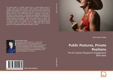 Public Postures, Private Positions的封面