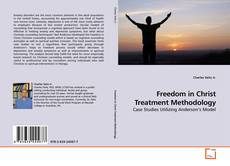 Buchcover von Freedom in Christ Treatment Methodology