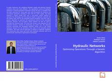 Bookcover of Hydraulic Networks