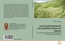 Capa do livro de Social Capital Networks and Livelihood Patterns in Uganda 