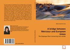 Обложка A bridge between Mercosur and European Union