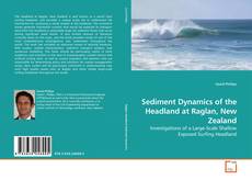 Couverture de Sediment Dynamics of the Headland at Raglan, New Zealand