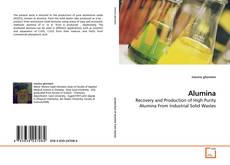 Capa do livro de Alumina 
