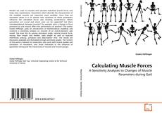 Calculating Muscle Forces的封面