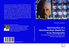 Couverture de Minimization of a Mumford-Shah Model for X-ray Tomography