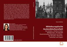 Mitteleuropäische Auslandskulturarbeit的封面