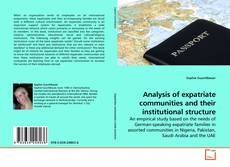 Analysis of expatriate communities and their institutional structure的封面