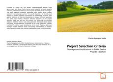 Buchcover von Project Selection Criteria
