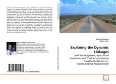 Buchcover von Exploring the Dynamic Linkages