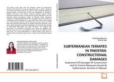 Borítókép a  SUBTERRANEAN TERMITES IN PAKISTAN: CONSTRUCTIONAL DAMAGES - hoz