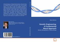 Genetic Engineering: A Fundamental Moral Approach的封面
